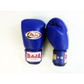 Боксёрские перчатки Raja Boxing 